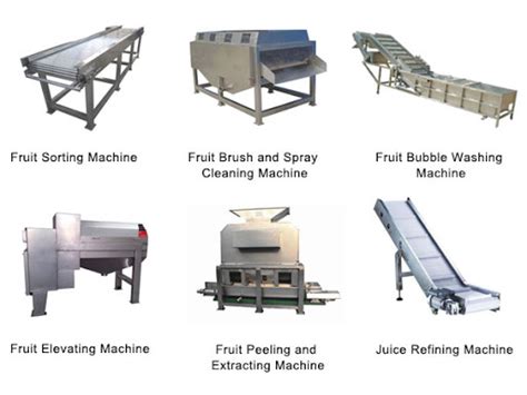Fruit Processing Machine .